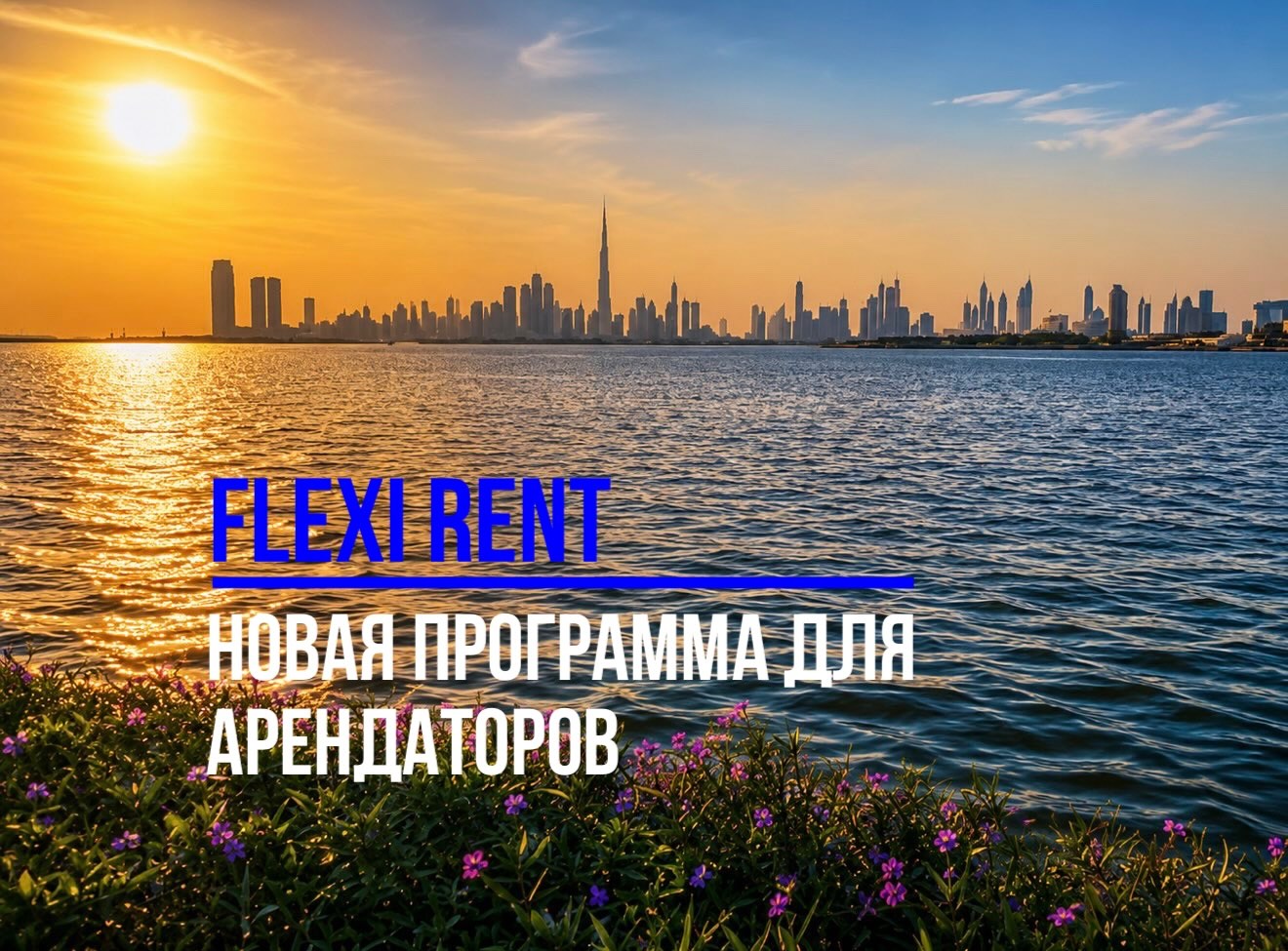 novaja programma dlja arendatorov v Dubae